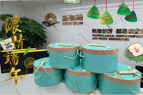 情暖端午 愛(ài)駐新朝陽(yáng)