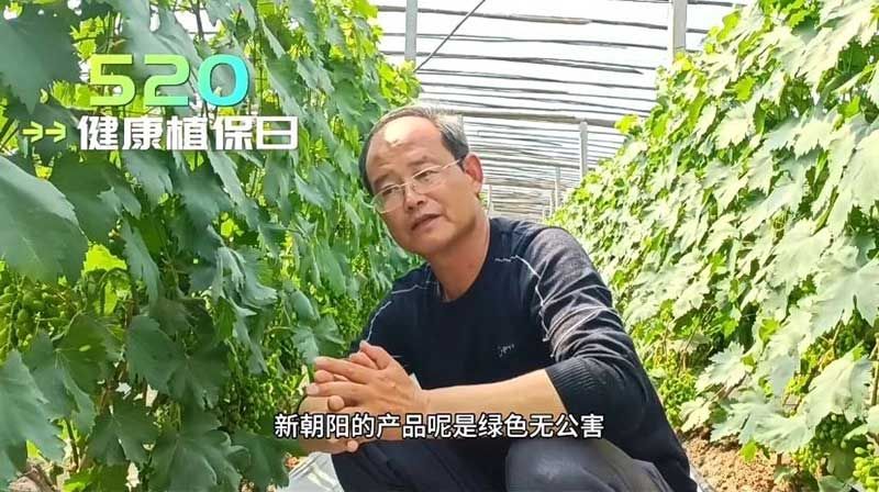 520健康植保日——擁抱綠色農業,我們在行動