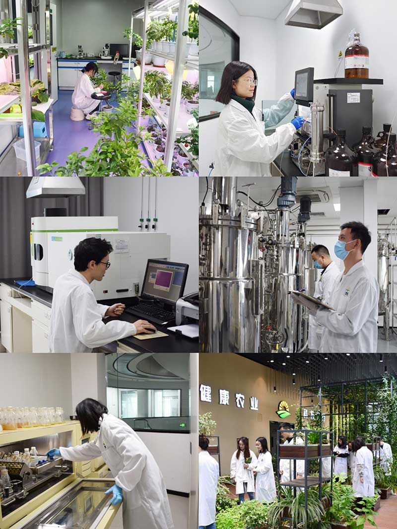 “全國(guó)科技工作者日”：推動(dòng)農(nóng)業(yè)綠色高質(zhì)量發(fā)展，新朝陽科研人在路上