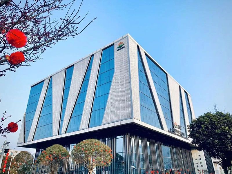 新突破!新朝陽(yáng)新型脫葉劑獲巴西專利授權(quán)